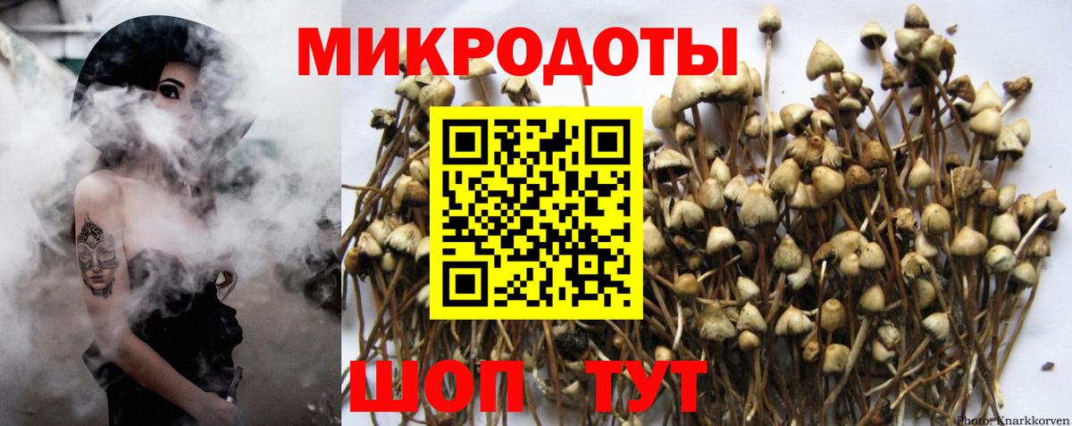 Родники  Галлюциногенные грибы Psilocybe  хочу   Вход с VPN 