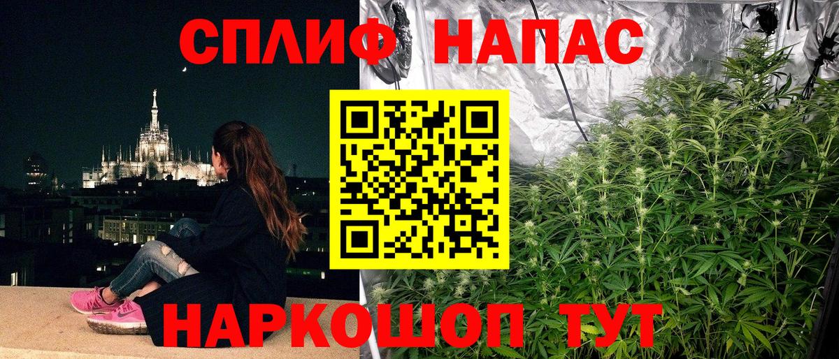 Бошки Шишки AK-47  МАРИХУАНА OG Kush  Вход с VPN  Родники  Марихуана Bruce Banner 